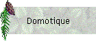 Domotique